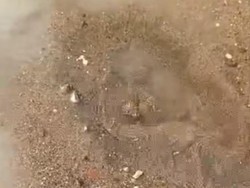 Muncul Semburan Air Panas Pascagempa M 6,5 Tuban, Ini Penjelasan Pakar