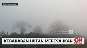 VIDEO: Kebakaran Hutan Meresahkan