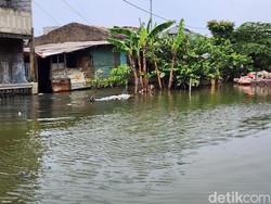 Sudin SDA Jakbar Teliti Penyebab Banjir Berhari-hari di Tegal Alur
