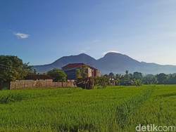 Penopang Canggu, Ini Daerah Primadona Baru di Bali Incaran Investor Properti