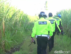 Hindari Razia, Pembalap Liar Lumajang Kabur Sembunyi di Kebun Tebu