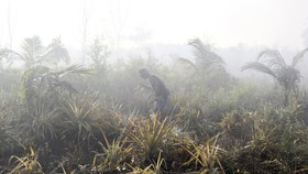 FOTO: Kebakaran Lahan Meluas, Kabut Asap Ancam Selimuti Kota Dumai