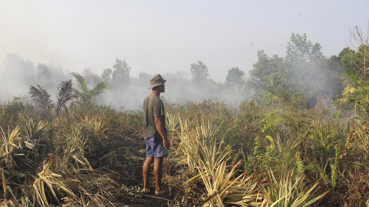 FOTO: Kebakaran Lahan Meluas, Kabut Asap Ancam Selimuti Kota Dumai