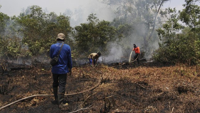 FOTO: Kebakaran Lahan Meluas, Kabut Asap Ancam Selimuti Kota Dumai