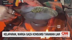 VIDEO: Kelaparan, Warga Gaza Konsumsi Tanaman Liar
