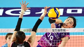 Ratu Voli Korea MVP Putaran 5 Liga Korea
