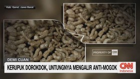 VIDEO: Kerupuk Dorokdok, Untungnya Mengalir Anti-Mogok