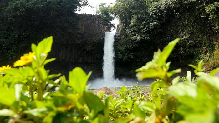 Dekat dari Jakarta, Ini 5 Rekomendasi Curug Terbaik yang Ada di Wilayah Bogor Untukmu Kunjungi