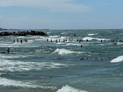 Ambil Bantuan yang Jatuh ke Laut, 12 Warga Gaza Tewas Tenggelam