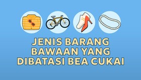 INFOGRAFIS: Jenis Barang Bawaan yang Dibatasi Bea Cukai