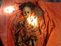 Geger Pengembala Sapi Temukan Kerangka Manusia di Tepi Sungai Lampung Timur