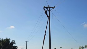 PLN Terangi 80 Dusun Terpencil di Sulbar dengan Listrik 24 Jam