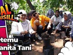 Begini Cara yang Benar Tanam Bunga Rosela