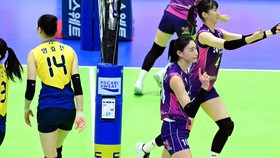 Link Live Streaming Pink Spiders vs Hillstate di Final Liga Voli Korea