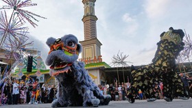 9 Tempat Nonton Barongsai Gratis di Jakarta, Dijamin Seru