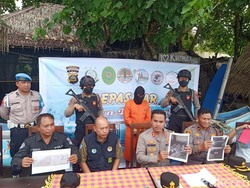 Penyelundup 18 Penyu Hijau di Jembrana Dapat Upah Rp 800 Ribu