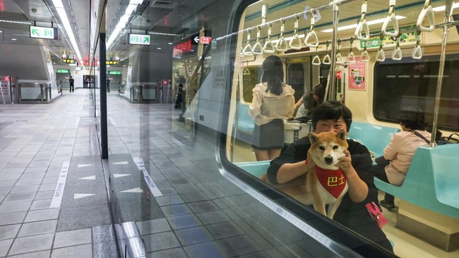 FOTO: Serunya Jalan-jalan Bareng Anabul Naik MRT