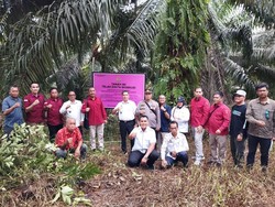 Jaksa Sita Kebun Sawit 0,49 Hektare Milik Terpidana Jono Pinem di Kalbar