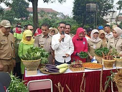 Heru Budi Hadiri Panen Raya 822 Ton Sayur-Buah di Jaktim