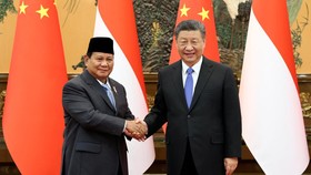 Isi Joint Statement Prabowo-Xi Jinping yang Tuai Kritik soal LCS