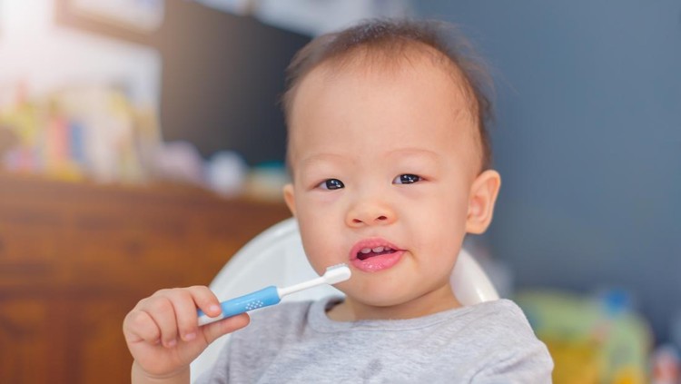 10 Rekomendasi Sikat Gigi Bayi dan Cara Tepat Memilihnya