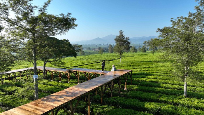 7 Destinasi Wisata di Bogor yang Bisa Kamu Kunjungi