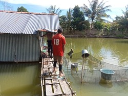 Bocah 4 Tahun Ditemukan Tewas Tenggelam di Tambak Ikan Bangka