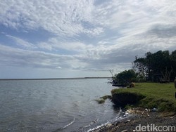 Muara Sungai Opak Jogja Langganan Mampet Tiap Tahun, Spot Wisata Terendam