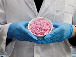 Beras Daging Sapi Berhasil Dikembangkan Ilmuwan Korsel, Apa Keunggulannya?
