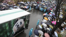 FOTO: Tetesan Air Mata Kesedihan Melepas Kepergian Fu Bao