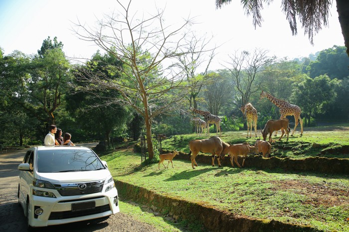 7 Destinasi Wisata di Bogor yang Bisa Kamu Kunjungi