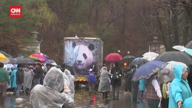 VIDEO: Momen Haru Perpisahan Panda Fu Bao dengan Warga Korsel