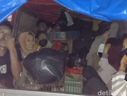 Cerita Pemudik Naik Pikap, Rela Himpitan dengan Burung Peliharaan