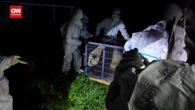 VIDEO: Cerita Mudik Panda Fu Bao ke Kampung Emak