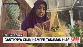 VIDEO: Cantiknya Cuan Hamper Tanaman Hias