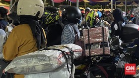 Cerita Pemudik Boyong 'Anabul' Kucing Kesayangan Mudik Lebaran