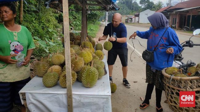 Durian jadi salah satu buah yang disukai banyak orang. Ada beberapa durian termahal di dunia, salah satunya berasal dari Indonesia. Apa itu?
