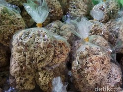 Cari Oleh-oleh Khas Bantul? Peyek Tumpuk Wajib Dibawa Pulang