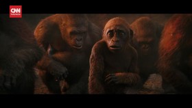 VIDEO: Box Office Hollywood, Godzilla x Kong Pertahankan Takhta