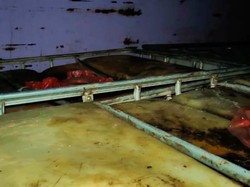 Sempat Diamankan, Truk Bawa 8 Ton Solar di Pelabuhan Morotai Dilepas Polisi