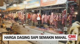 VIDEO: Harga Daging Sapi Meroket