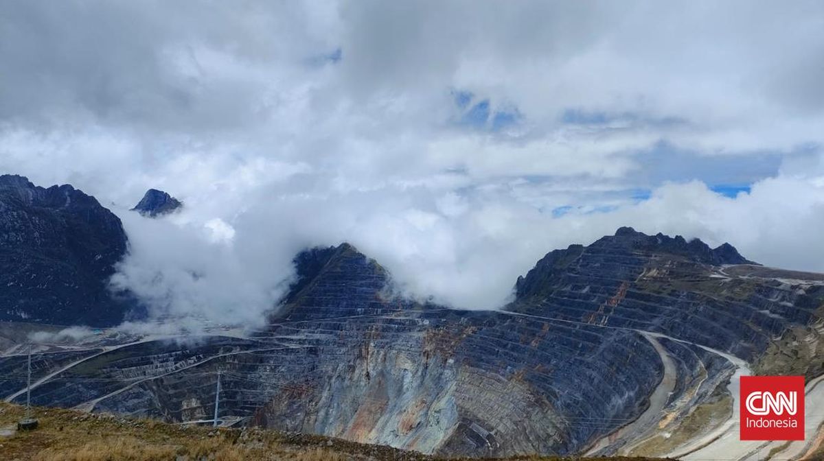 Freeport Buka Suara soal Kasih 12 Persen Saham Gratis ke Pemerintah RI