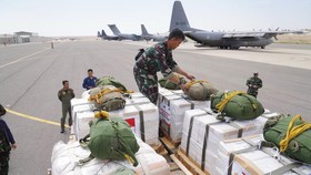 Cerita Komandan Misi TNI Deg-degan Terjunkan Bantuan Logistik ke Gaza
