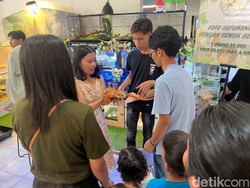 Serunya Swafoto Bareng Reptil-Mamalia Saat Libur Lebaran di Mal Bengkulu