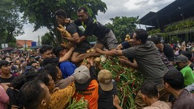 FOTO: Tradisi Grebeg Syawal Keraton Solo dan Keraton Yogyakarta