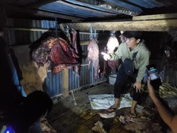 Pencuri Kuda di Jeneponto Ditembak Saat Coba Kabur, 2 Pelaku Buron
