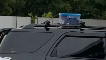 img-title Viral Kucing 'Ikut' Mudik, Ditaruh di Atas Kap Mobil