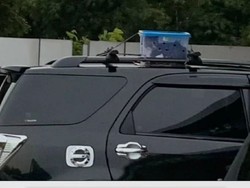 Viral Kucing 'Ikut' Mudik, Ditaruh di Atas Kap Mobil