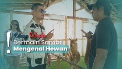 Wisata Batam Zoo Paradise, Main dan Belajar Sekaligus Ada Water Park-nya