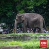 Pengelola Ragunan Pastikan Tarif Masuk Tidak Naik Tinggi
